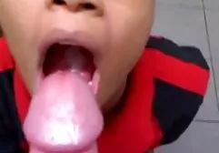 Tragar srxo gratis